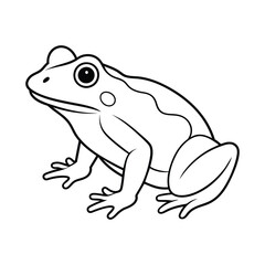 frog on white background