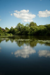 reflection of trees in water