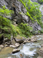 River in lush green forest surrounded by rocks and trees