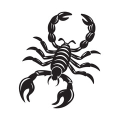 scorpion tattoo vector