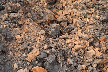 A background of soil and clay
