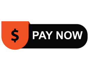 pay now button on white background. pay now button sign