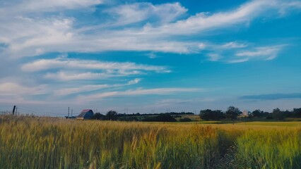 Obraz premium sunset over the river