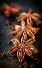 Close Up of Star Anise Spiced Pods on Dark Background