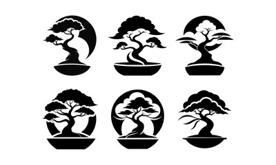 a black and white image of a bonsai tree.