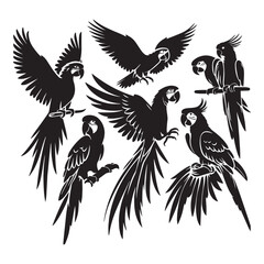 Parrots 7pc sets silhouette vector art illustration with white background
