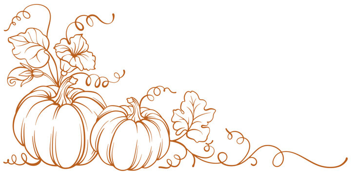 Pumpkin vector illustration	