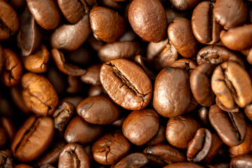 COFFEE GRAINS