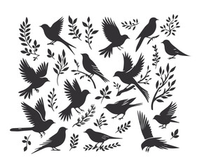 Obraz premium Black bird, leaf and flower vector silhouette illustration, creative design