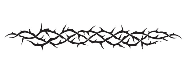 black crown of thorns image isolated on white background