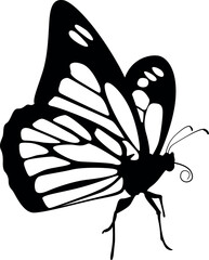 Monarch butterfly SVG Cut File for Cricut and Silhouette, EPS Vector, DXF , PNG , JPEG , Zip Folder