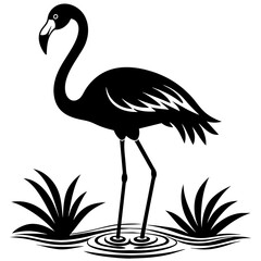 Flamingo on water vector silhouette