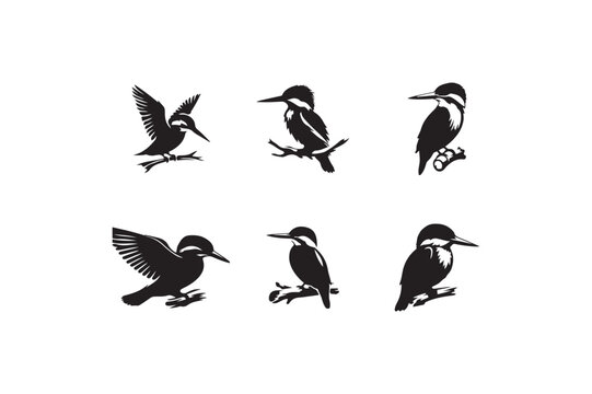 Set of kingfisher silhouette vector illustration.