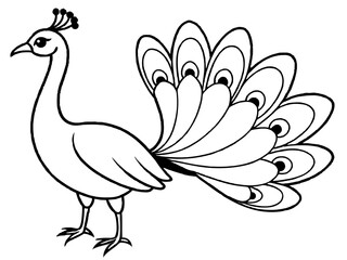 A majestic peacock with vibrant feathers in line art style