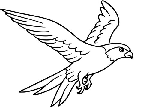recommend clip art: A majestic falcon in mid-flight in line art style