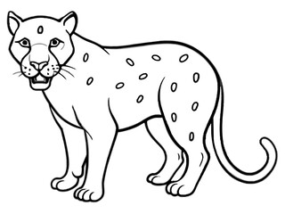 Obraz premium A fierce leopard with sharp claws in line art style