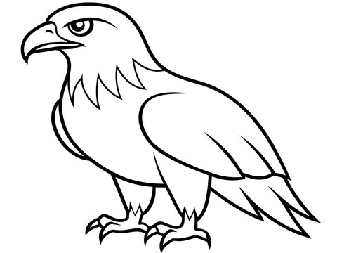 recommend clip art: A fierce hawk with sharp talons in line art style