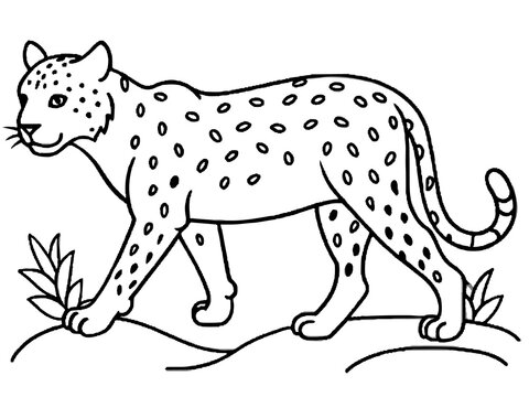 black and white leopard walking on ground clip art preview