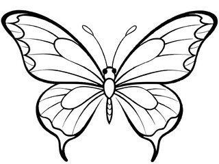 A beautiful butterfly fluttering its wings in line art style