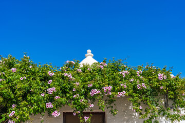 Conical roof of an old dry stone trull house in Alberobello. Italy
