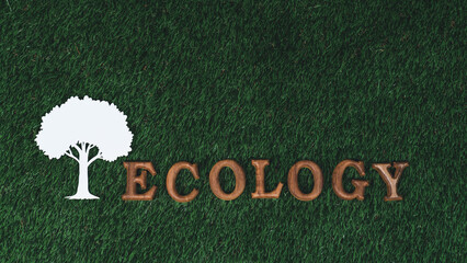 Wooden alphabet arranged in ecological awareness campaign with ECO icon design on biophilia green...