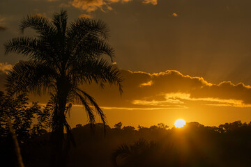 Obraz premium Brazilian Sunrise Very beautiful, the sunrise in brazilian savannah has many colors.