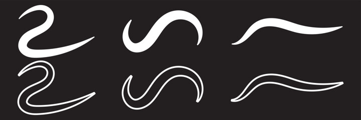 Fototapeta premium Set of Swoosh and swoop underline typography tails shape in flat styles. Brush drawn curved smear. Hand drawn curly swishes, swash, twiddle. Vectors calligraphy doodle swirl on white background.Vector