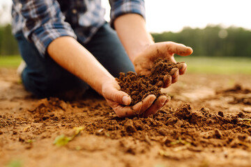 Male hands checking soil health before growth a seed of vegetable or plant seedling. Business or ecology concept.