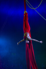 Professional aerial straps silks woman gymnast circus performance at blue arena with dark background backlit with colored concert lights, performing gymnastic element © Michael Rekochinsky