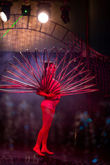 Young slim attractive circus gymnast woman performing live show with hula hoops on red arena with blue backlight, audience is excited