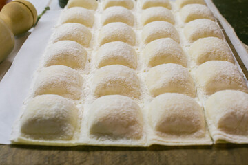 Selective focus on homemade Spinach Ravioli