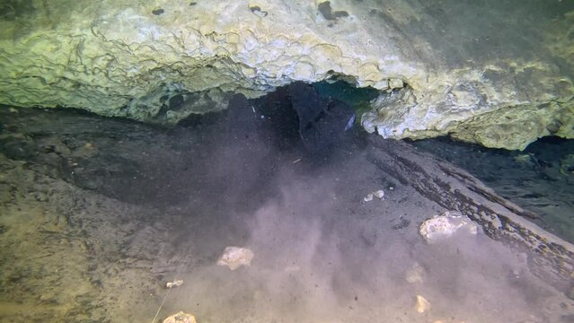 Cave Diving in Sand Dollar Sink Hole, Florida
