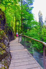 Wanderweg in der Rappenlochschlucht im Ebniter Tal in Dornbirn (Vorarlberg, Österreich)