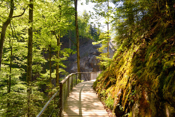 Wanderweg in der Rappenlochschlucht im Ebniter Tal in Dornbirn (Vorarlberg, Österreich)