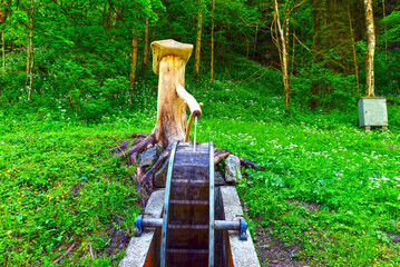Fototapete bei efototapeten.de bestellen   
