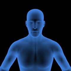 Human body anatomy in blue