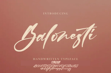 signature Font Calligraphy Logotype Script Brush Font Type Font lettering handwritten