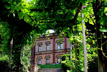 Naklejka premium Treppe zum Colombischlössle in Freiburg im Frühling