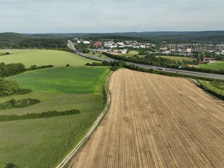 Felder im Sommer am Abend unter einem blauen Himmel