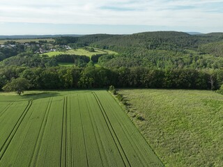 Felder im Sommer am Abend unter einem blauen Himmel