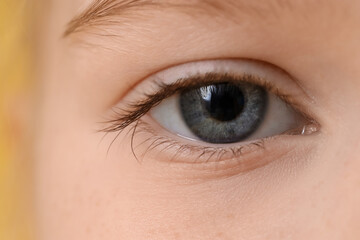 Obraz premium Little girl with blue eye, closeup