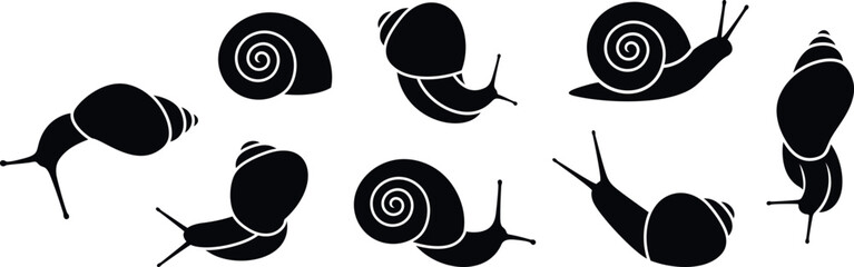 Grape snail logo. Isolated grape snail on white background © oleg7799