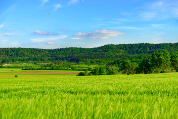 Obraz premium Beautiful summer calm landscapes of Bavaria.
