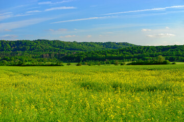 Fototapeta premium Beautiful summer calm landscapes of Bavaria.