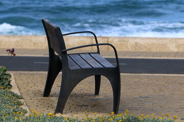 A bench for relaxing in a city park on the seashore.