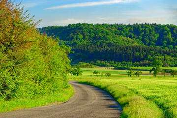 Beautiful summer calm landscapes of Bavaria.
