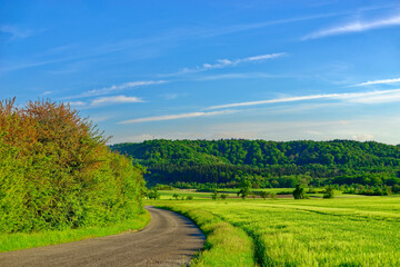 Beautiful summer calm landscapes of Bavaria.