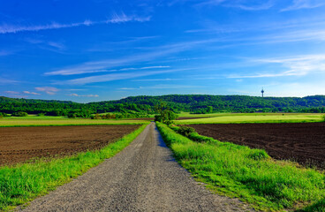 Beautiful summer calm landscapes of Bavaria.