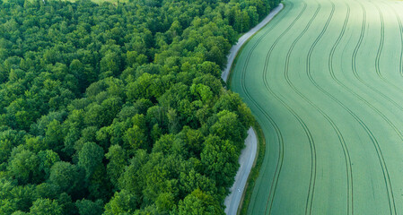Aerial view landscape of winding road in the forest with a wheat field.