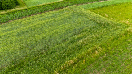 Aerial view on the countryside and the agricultural field